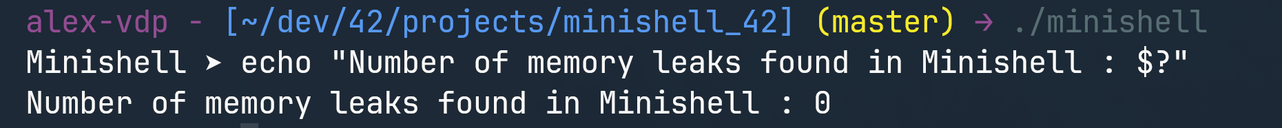 Screenshot of the custom Minishell running commands.